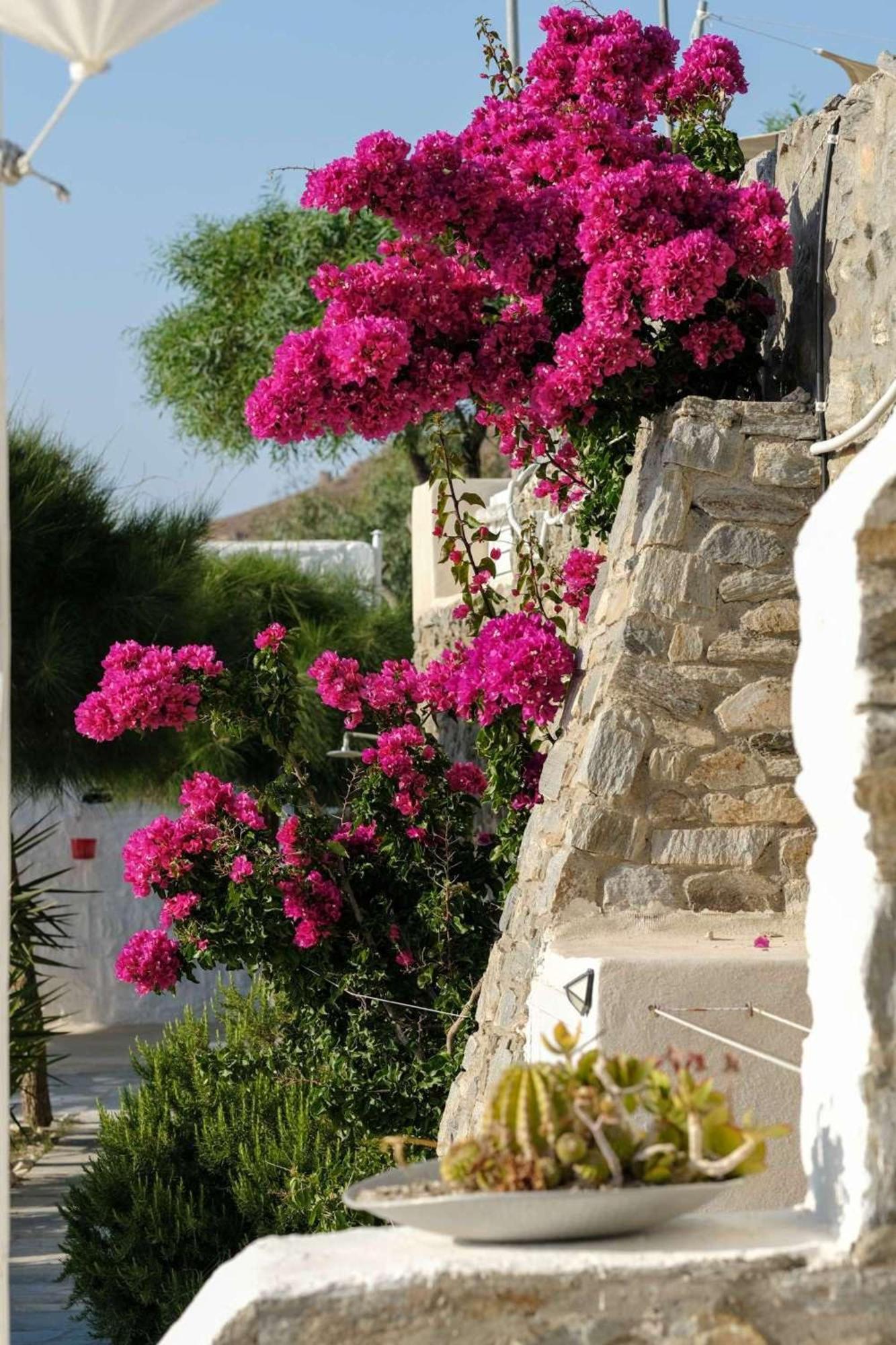 3 Paros All Season Villas Ngoại thất bức ảnh